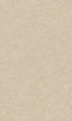 Beige Concrete Plain Wallpaper R9343