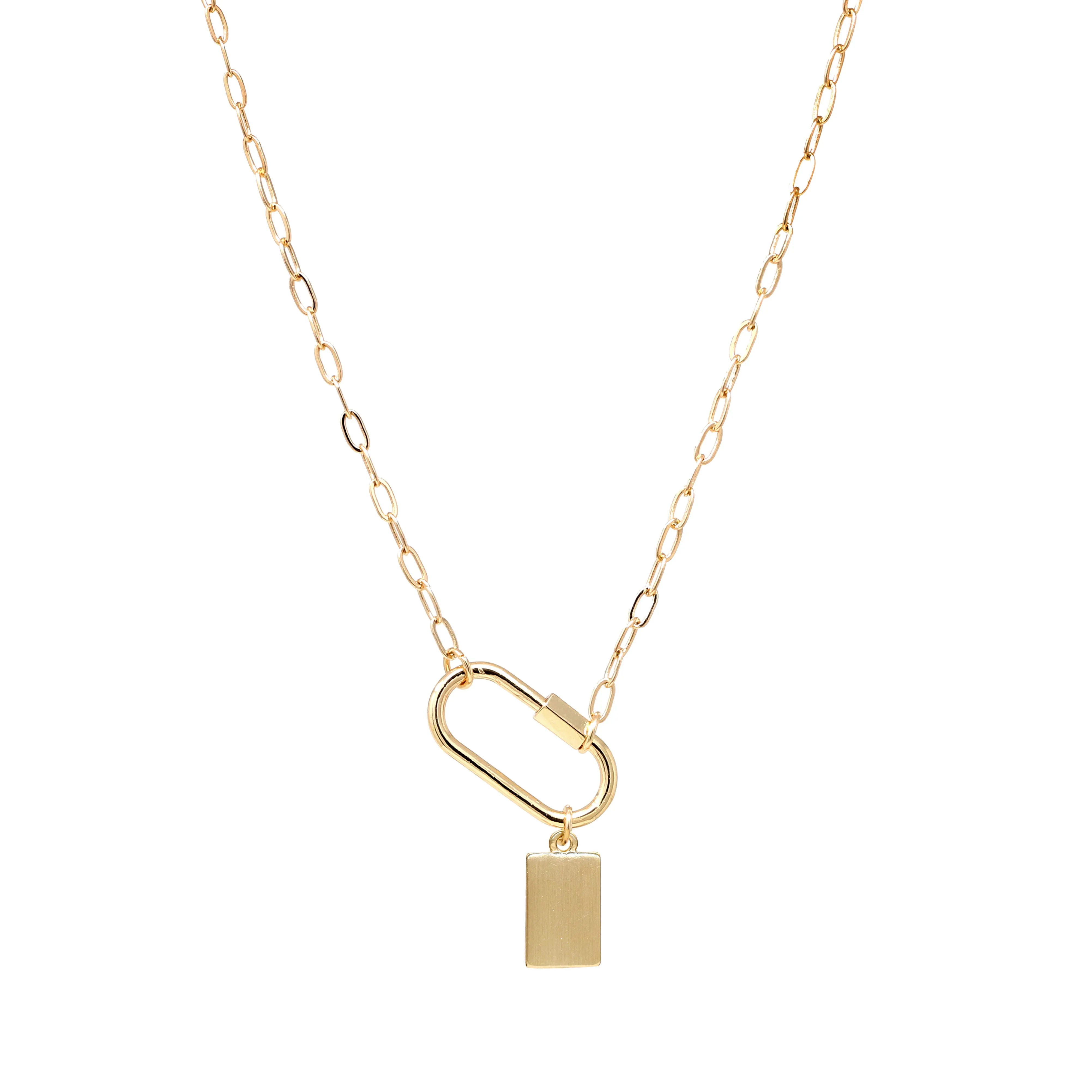 Carabiner Necklace with Charm