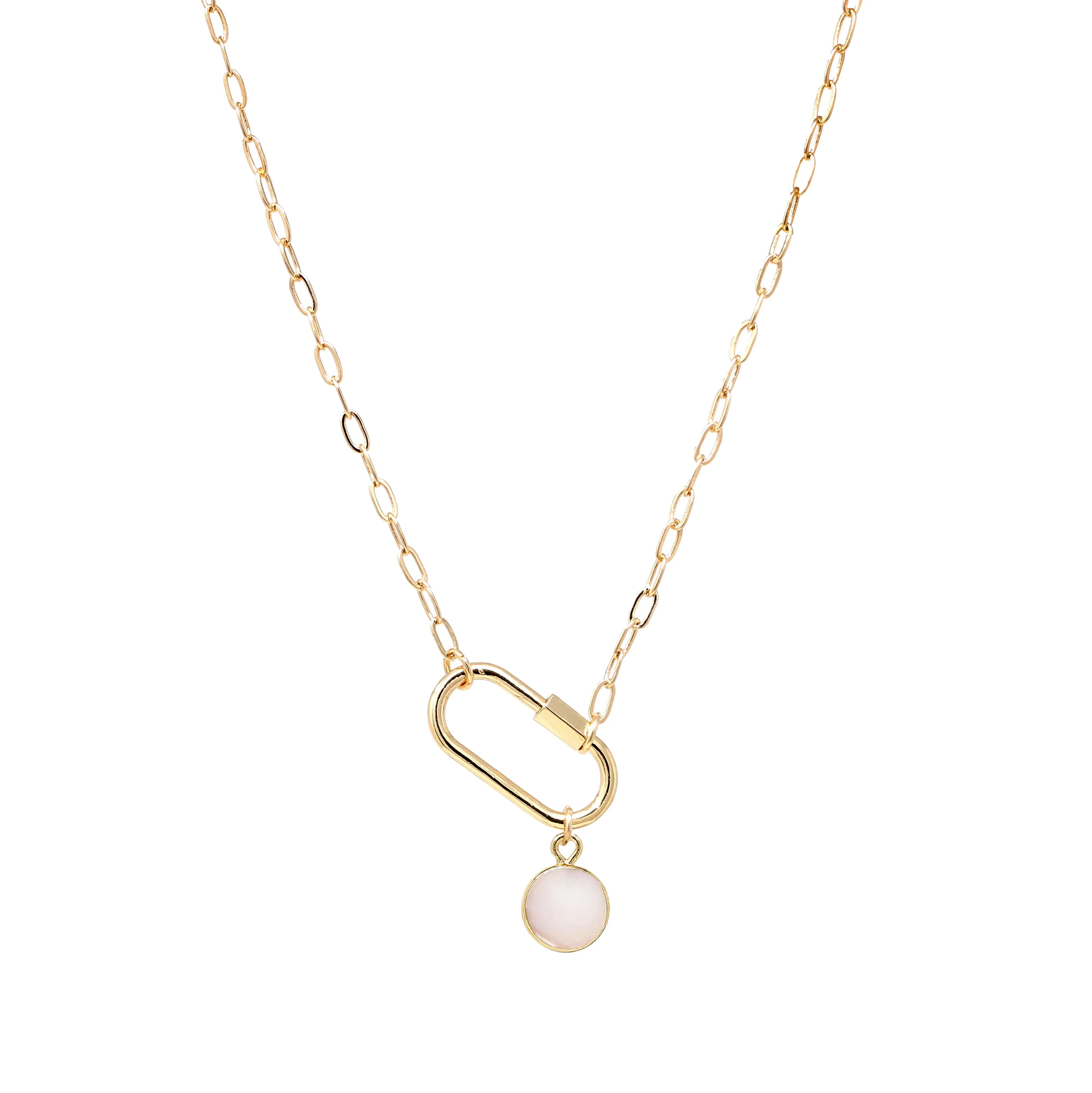 Carabiner Necklace with Charm