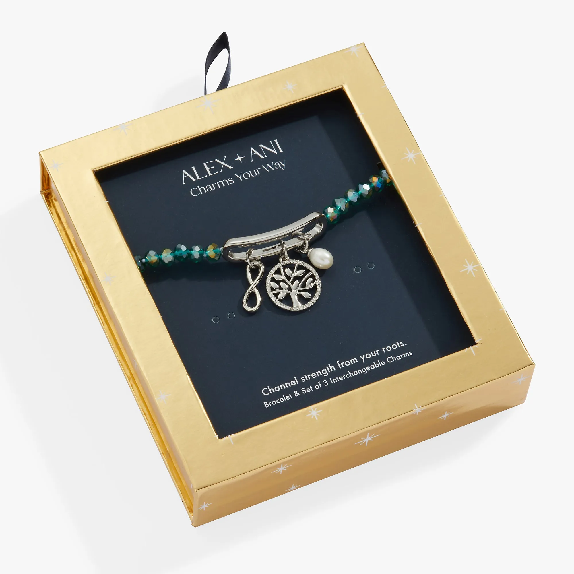 Family Interchangeable Charm Stretch Bracelet