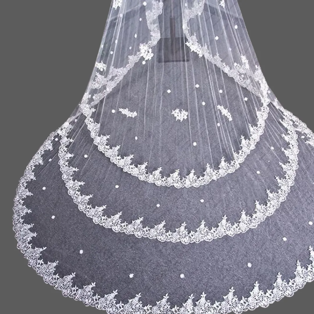 GownLink Long Cascading Bridal 5mtr Veil with Comb for Christian & Catholic Weddings GLJAV06654