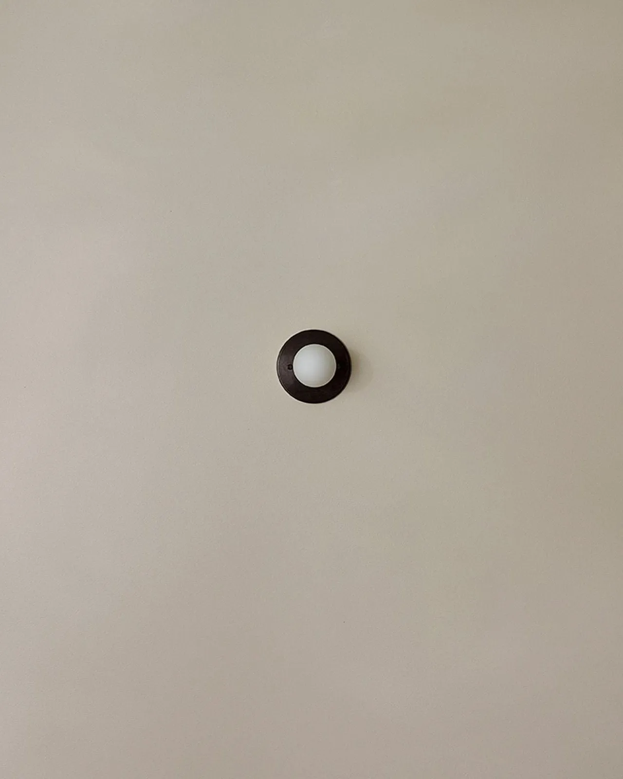 Minimalist Metal and Glass Orb Wall Light