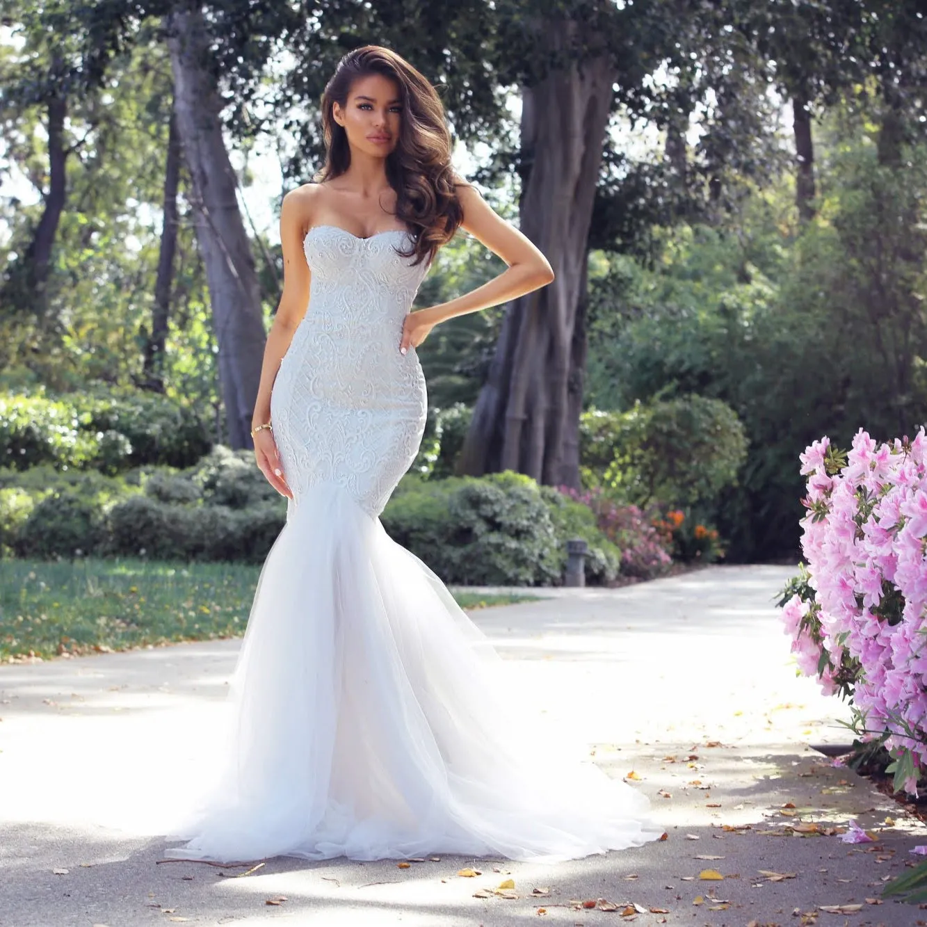 The Angelic Collection