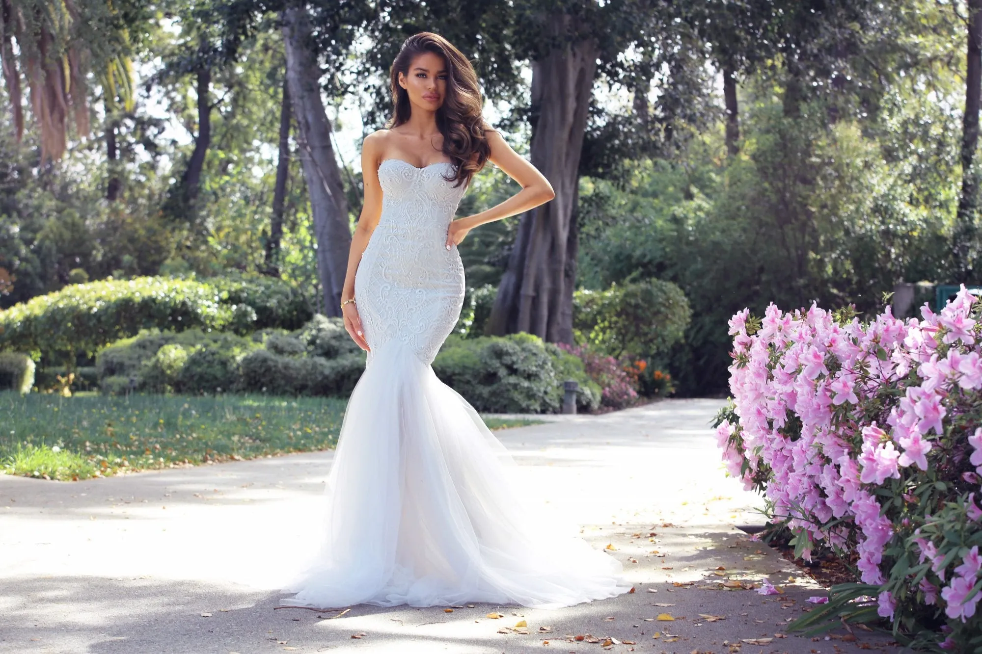 The Angelic Collection