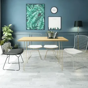 Var - Simple Modern Iron Frame Chair